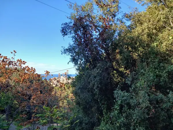 Land for Sale in Rabieh, Lebanon