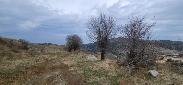 Land for Sale in Mayrouba