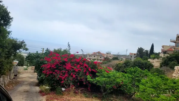 Land for Sale in Berbara, Lebanon