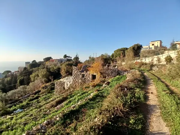 Land for Sale in Ghadras, Lebanon