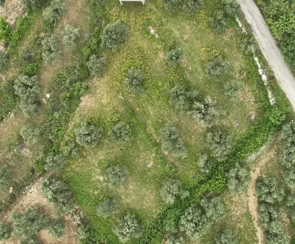 Land for Sale in Batroun, Lebanon
