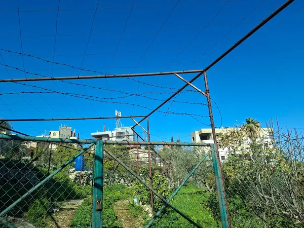 Land for Sale in Habboub