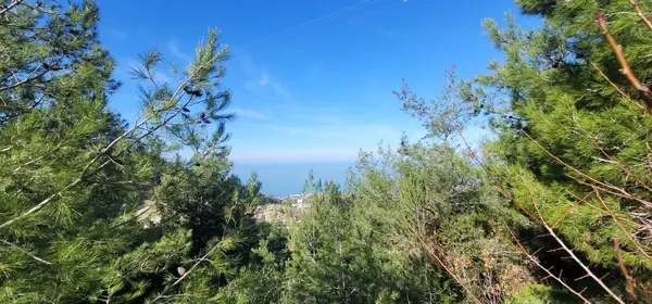 Land for Sale in Maissra, Lebanon