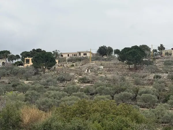 Residential Land for sale in Batroun, Lebanon