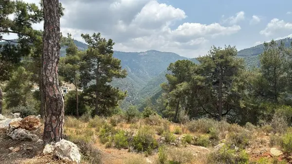 Land for Sale in Beit Meri