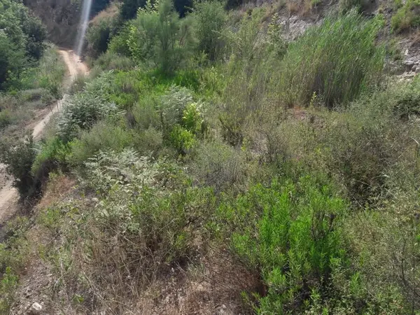 Land for Sale in Ras El Matn