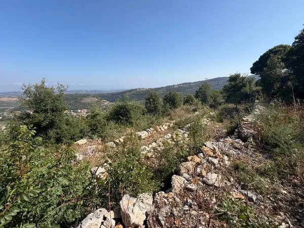 Land for Sale in Batroun
