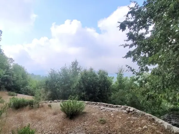 Land for Sale in Chahtoul