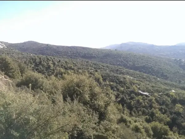 Land for Sale in Assia