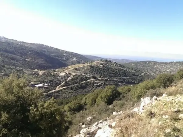 Land for Sale in Assia