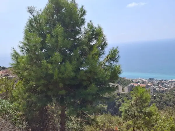 Land for Sale in Halat, Lebanon