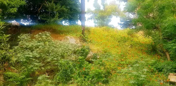 Land for Sale in Sarba, Lebanon