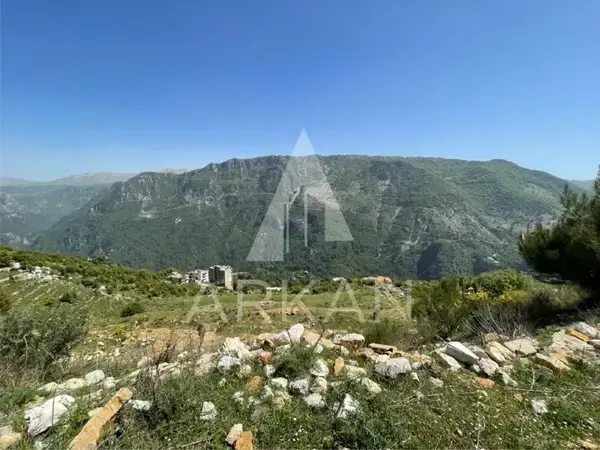 Land for Sale in Ein Jrein | 4,000 sqm – Investment Opportunity