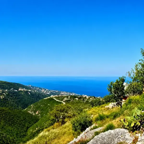 Land for Sale in Rachana Thoum Batroun