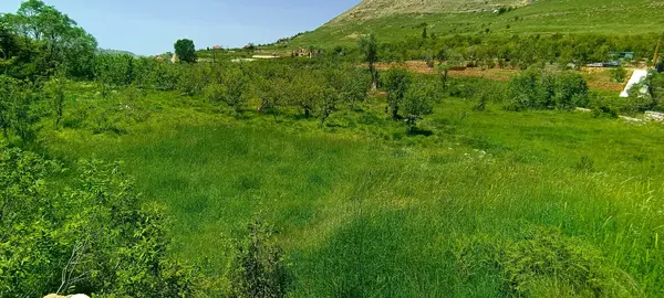 Land for Rent in Faraiya, Lebanon