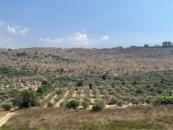 Apartment for Sale in Koura