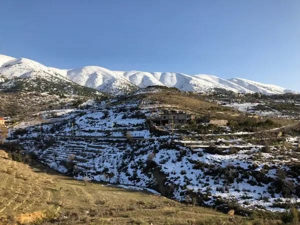 Land for Sale in Barouk, Lebanon