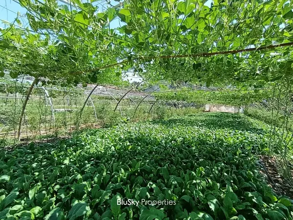Land 1,560m² for Sale in Safra