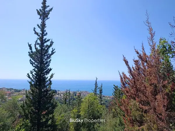 Land 2,600m² for Sale in Safra