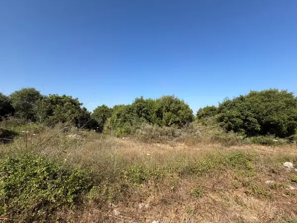Land for Sale in Batroun