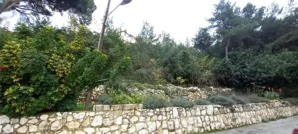 Land for Sale in Delbta, Lebanon