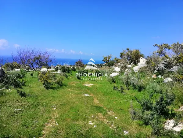 Land for sale in Chikhane, Jbeil, Lebanon