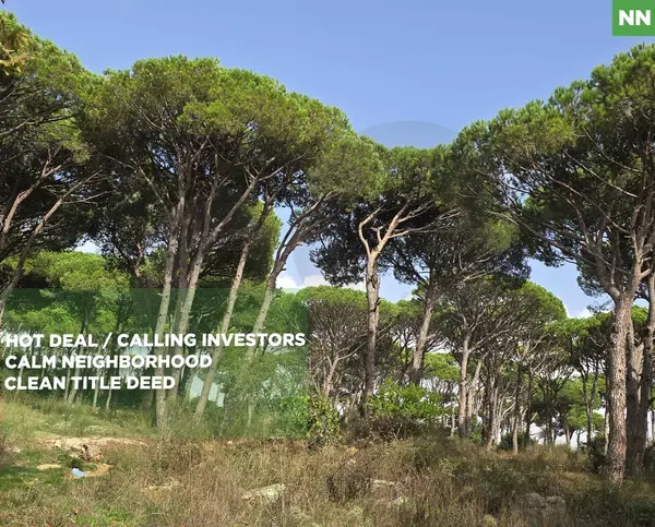 30/60 ZONING/ PANORAMIC MOUNTAIN VIEW LAND |KITTENEH,ALEY