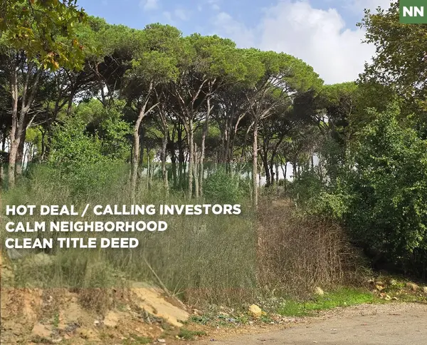 Prime 1471 SQM Land/Hot Deal / rectangular shaped/Kitteneh ,ALEY