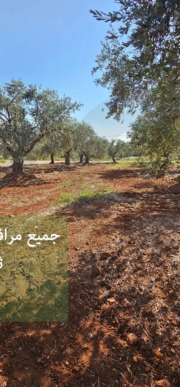 PRIME LAND FOR SALE IN KFARHAWRA,ZGHARTA /MAIN ROAD ACCESS