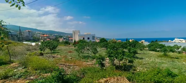 Land for Rent in Batroun, Lebanon