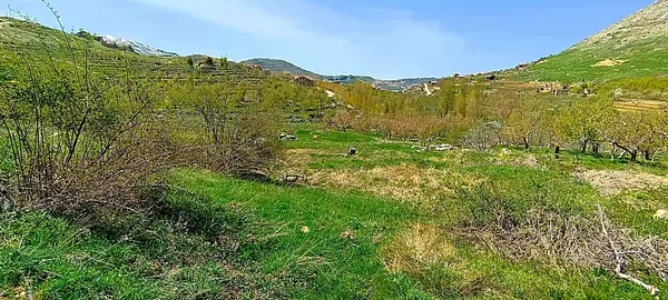 Land for Sale in Faraiya, Lebanon