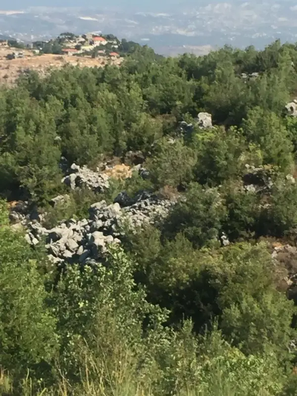 Land for Sale in Jaj, Lebanon