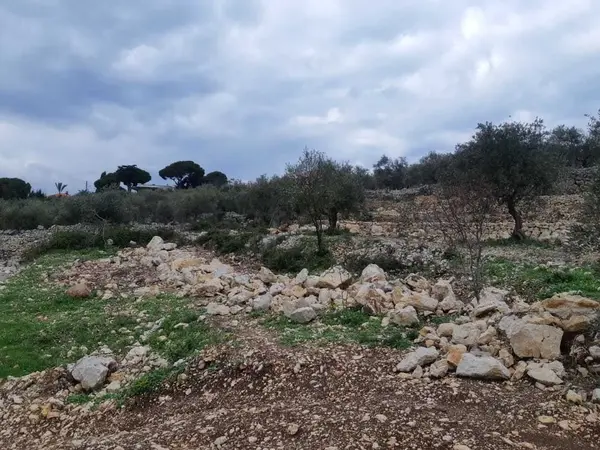 Land for Sale in Jeddayel, Jbeil