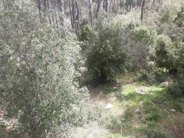 Land in Hasbaya Overlooking the Mountains