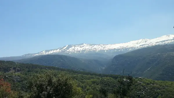 Land in Mtein, Metn