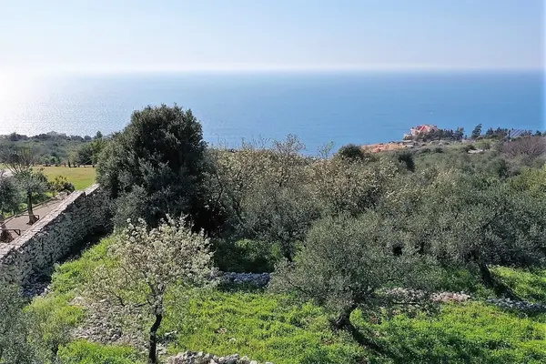 Land in Monsef, Jbeil