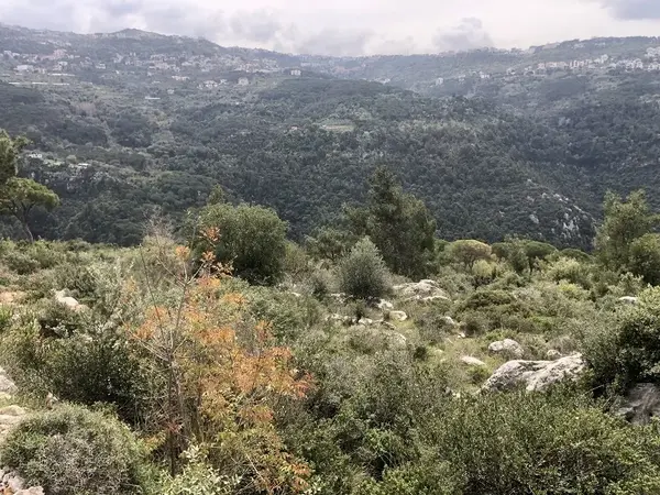 Prime Location Land in New Monteverde, Metn with Panoramic View