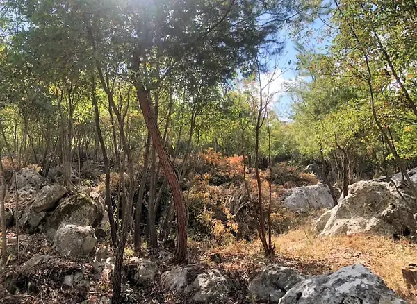 Prime Location Land in Zandouka, Mount Lebanon