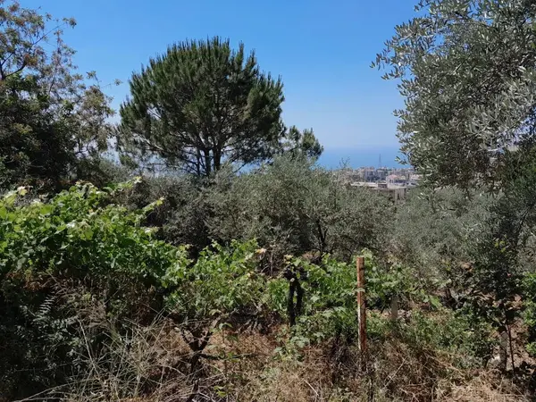 Land in Qannabet Broumana, Metn with Sea View