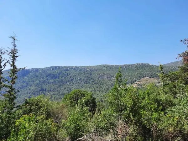 Land in Zebdine, Jbeil with Breathtaking Mountain & Sea View