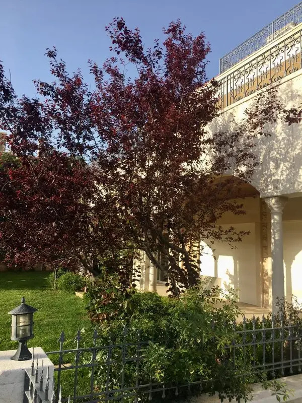Private Villa in Fatka, Keserwan with Sea and Mountain View