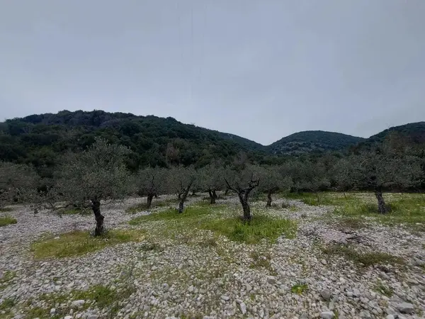 Land in Ain Kfa, Jbeil with Sea and Mountain View