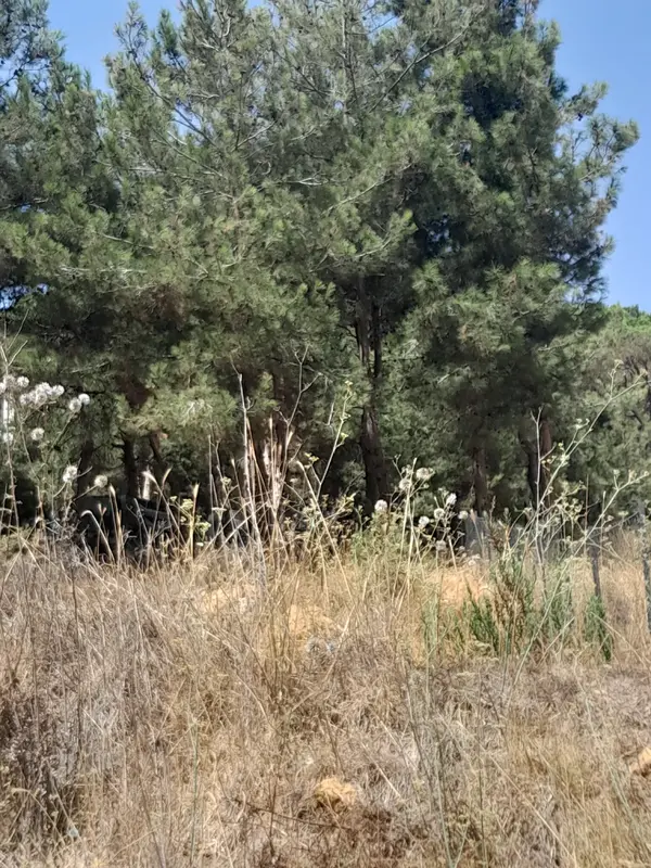 Land in Oyoun Broumana, Metn with Partial View