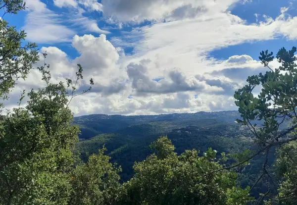 Land in Oyoun Broumana (Maska and Ghabe), Metn