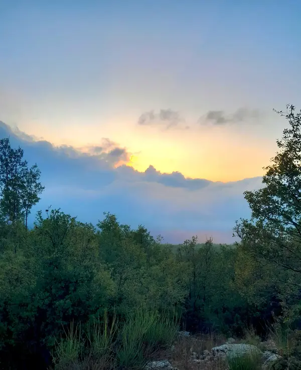 Land with OAK TREES in Tarchich, Baabda with View