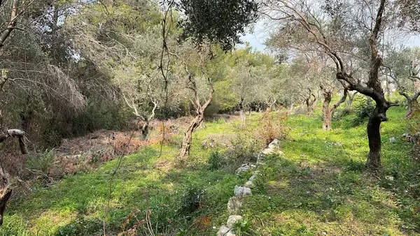 Land in Choueifat El Qoubbeh, Aley with Panoramic View