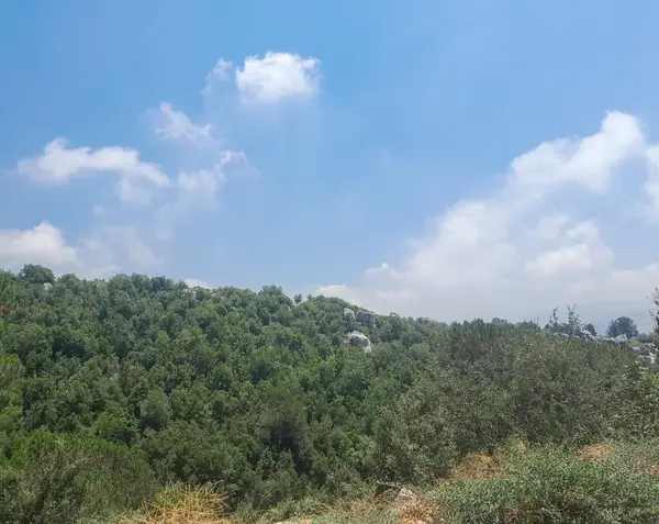 Land in Ajaltoun, Keserwan Overlooking the Mountains