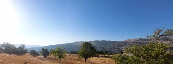 Land in Tarchich, Baabda with a Breathtaking Mountain View