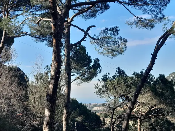 Land in Mar Chaaya, Metn Overlooking the Mountains & the Ocean