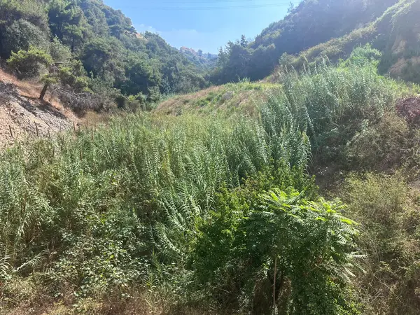 Land in Dbayeh, Metn